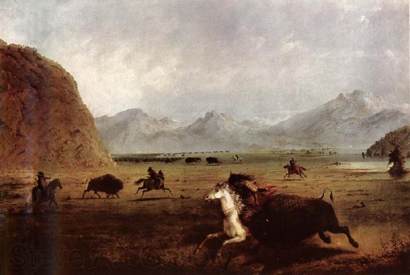 Alfred Jacob Miller Buffalo Hunt Spain oil painting art